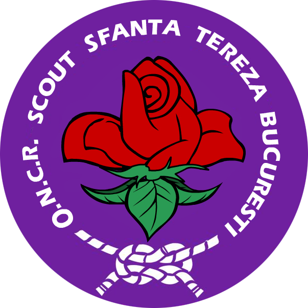 scoutsftereza.ro